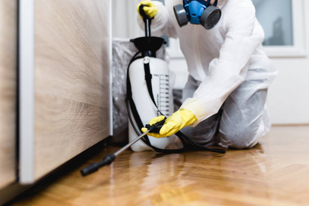 Best Pest Control for Businesses  in Athens, IL
