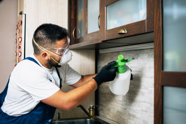 Pest Control for Restaurants in Athens, IL