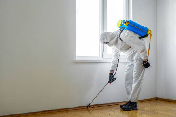 Best Bed Bug Extermination  in Athens, IL