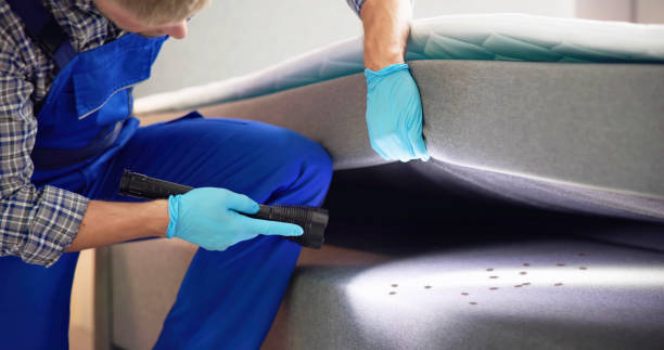 Best Cockroach Control Services  in Athens, IL