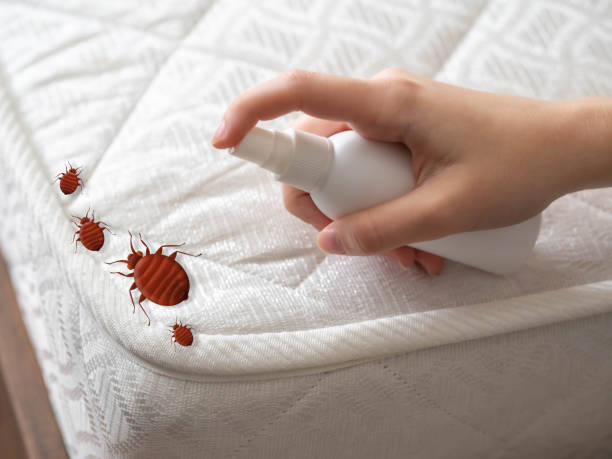 Best Best Pest Control Companies  in Athens, IL