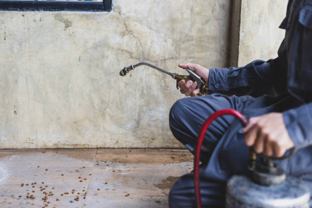 Best Pest Control Near Me  in Athens, IL