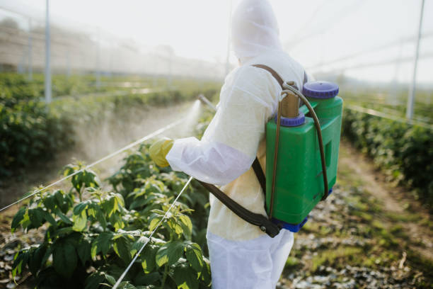 Trusted Athens, IL Pest Control Experts